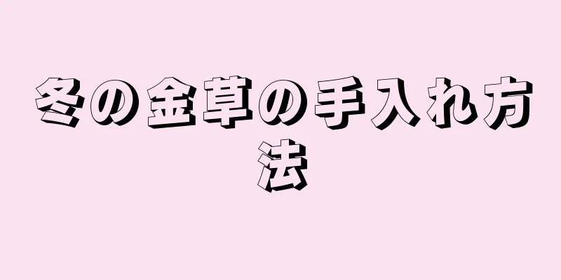 冬の金草の手入れ方法