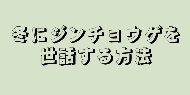 冬にジンチョウゲを世話する方法