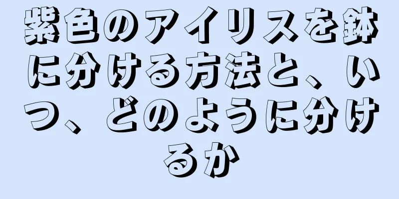 紫色のアイリスを鉢に分ける方法と、いつ、どのように分けるか