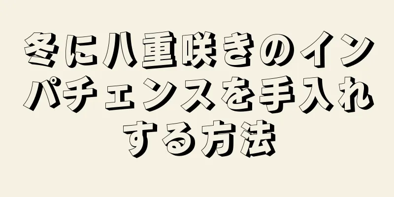 冬に八重咲きのインパチェンスを手入れする方法
