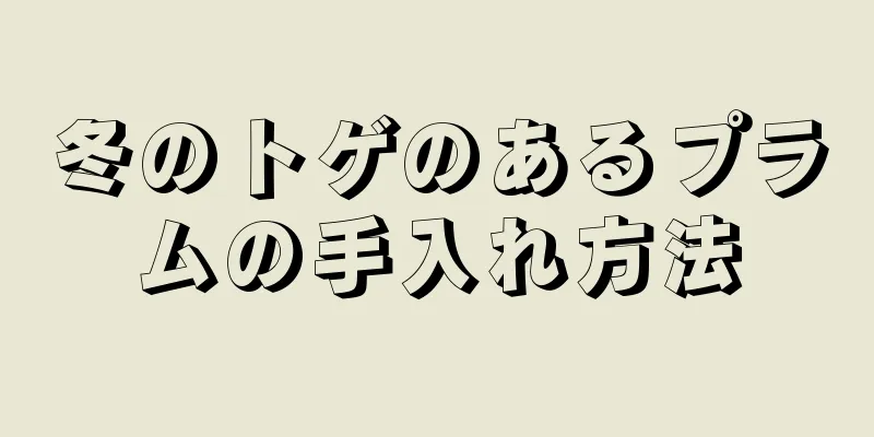 冬のトゲのあるプラムの手入れ方法