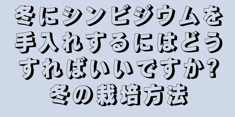 冬にシンビジウムを手入れするにはどうすればいいですか?冬の栽培方法