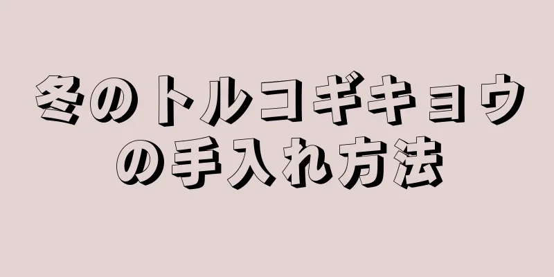 冬のトルコギキョウの手入れ方法