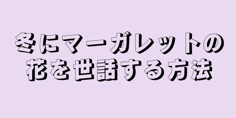 冬にマーガレットの花を世話する方法