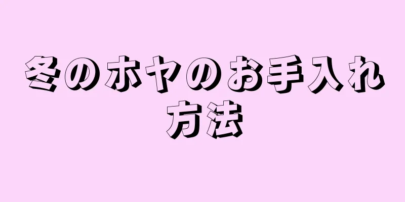 冬のホヤのお手入れ方法