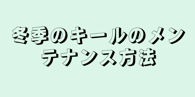 冬季のキールのメンテナンス方法