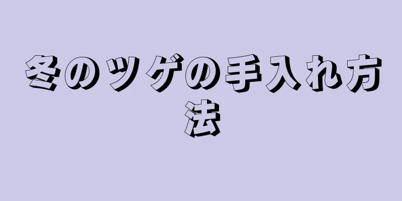 冬のツゲの手入れ方法