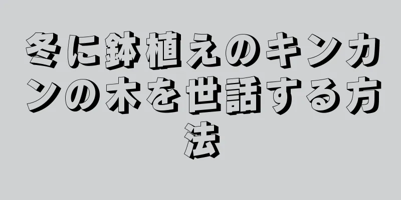 冬に鉢植えのキンカンの木を世話する方法
