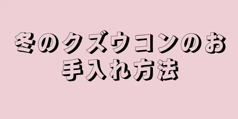 冬のクズウコンのお手入れ方法