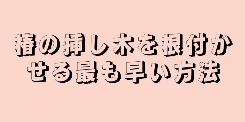 椿の挿し木を根付かせる最も早い方法