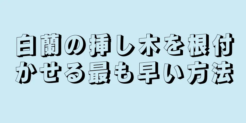 白蘭の挿し木を根付かせる最も早い方法