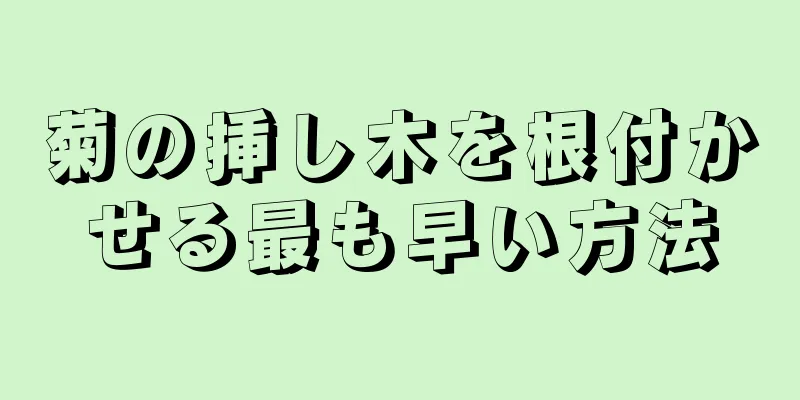 菊の挿し木を根付かせる最も早い方法
