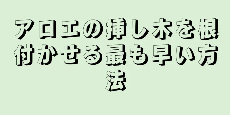 アロエの挿し木を根付かせる最も早い方法