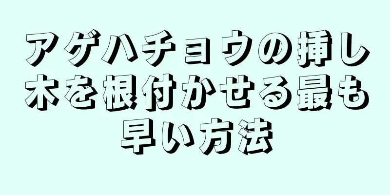 アゲハチョウの挿し木を根付かせる最も早い方法