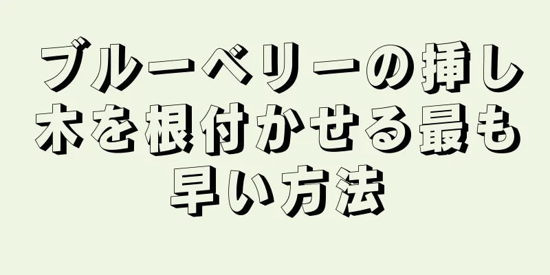 ブルーベリーの挿し木を根付かせる最も早い方法