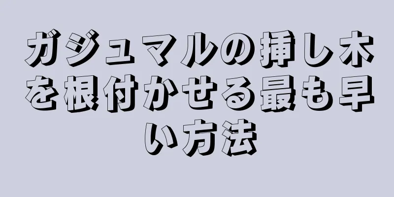 ガジュマルの挿し木を根付かせる最も早い方法
