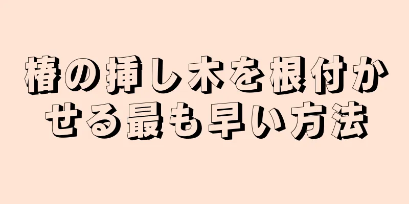 椿の挿し木を根付かせる最も早い方法