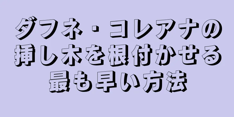 ダフネ・コレアナの挿し木を根付かせる最も早い方法
