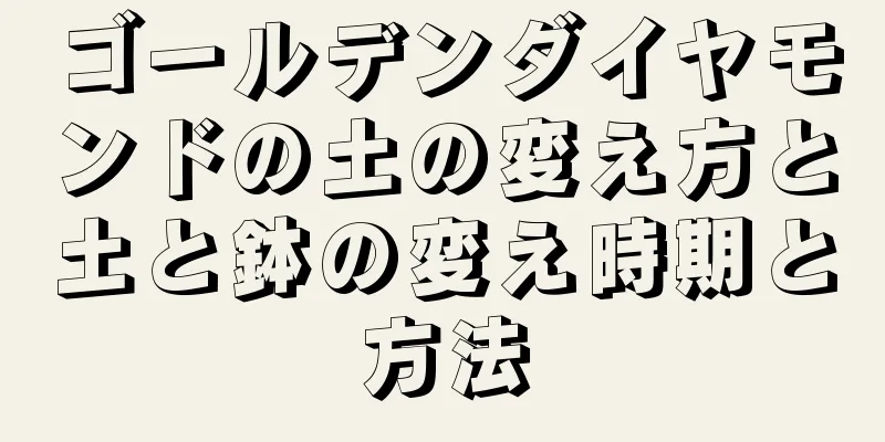 ゴールデンダイヤモンドの土の変え方と土と鉢の変え時期と方法