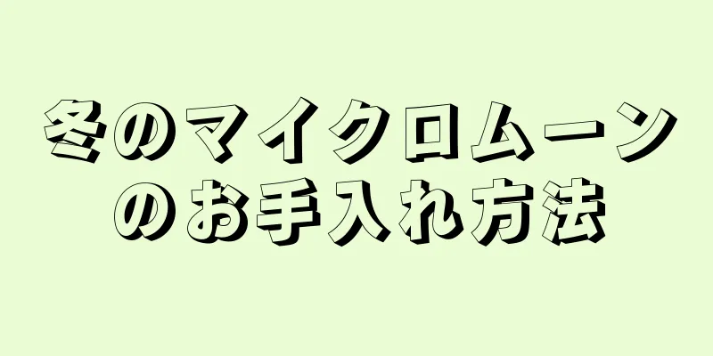 冬のマイクロムーンのお手入れ方法