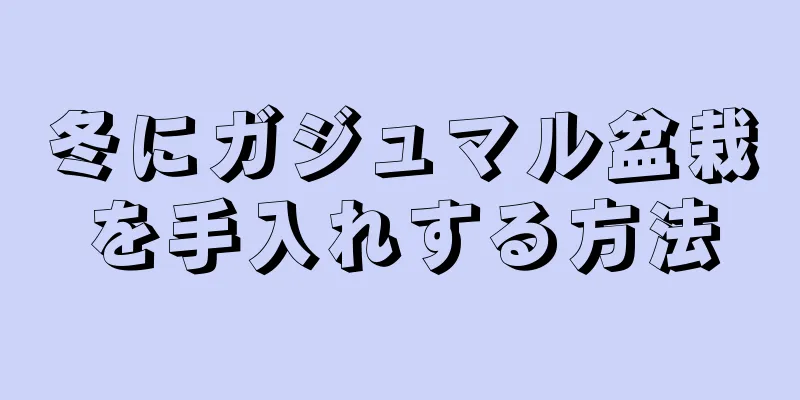 冬にガジュマル盆栽を手入れする方法