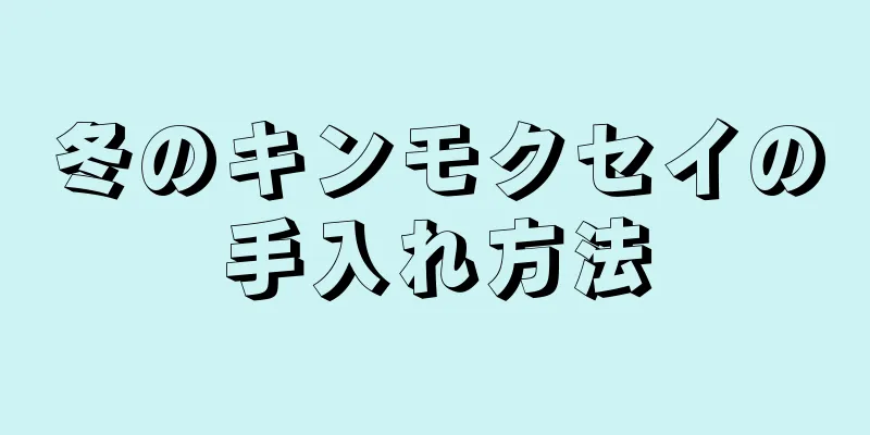冬のキンモクセイの手入れ方法
