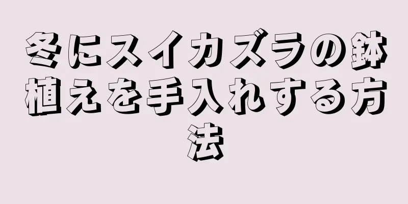 冬にスイカズラの鉢植えを手入れする方法