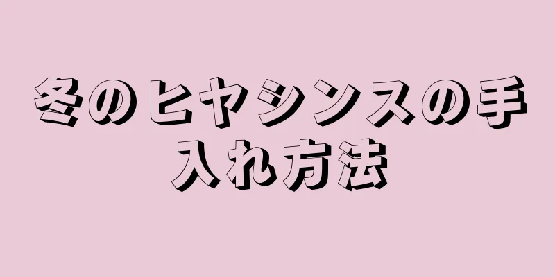 冬のヒヤシンスの手入れ方法