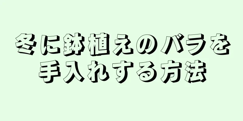 冬に鉢植えのバラを手入れする方法