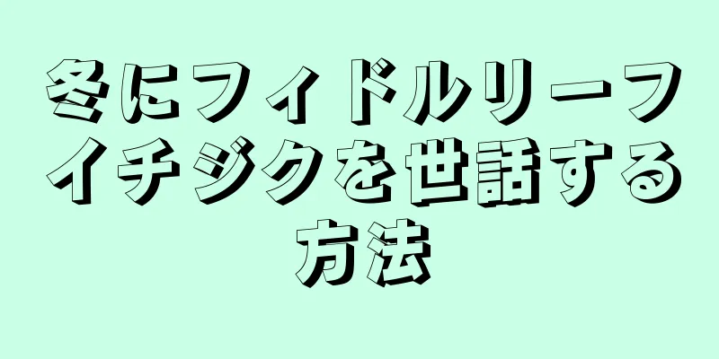 冬にフィドルリーフイチジクを世話する方法