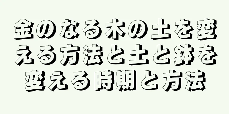 金のなる木の土を変える方法と土と鉢を変える時期と方法