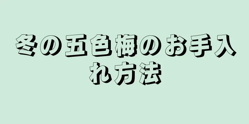 冬の五色梅のお手入れ方法