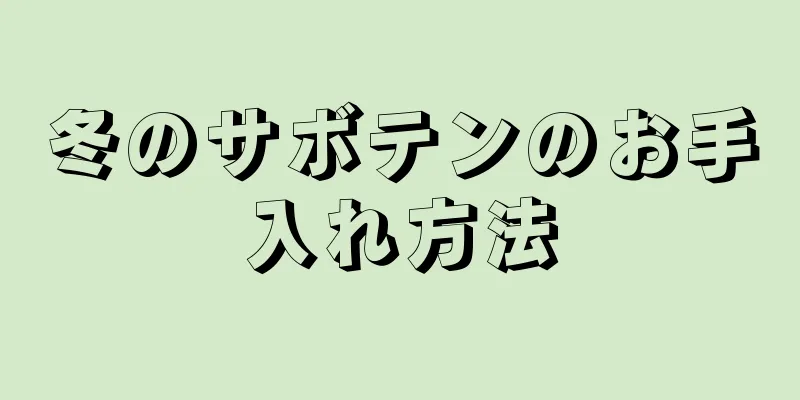 冬のサボテンのお手入れ方法