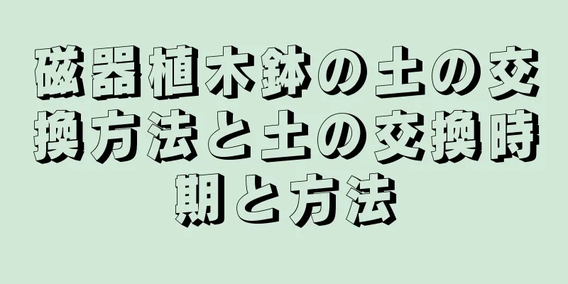 磁器植木鉢の土の交換方法と土の交換時期と方法