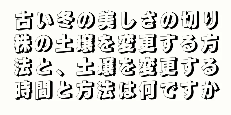 古い冬の美しさの切り株の土壌を変更する方法と、土壌を変更する時間と方法は何ですか