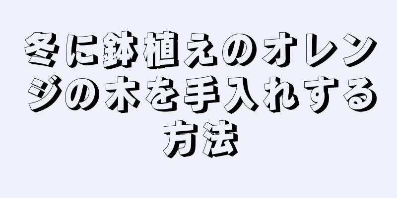 冬に鉢植えのオレンジの木を手入れする方法