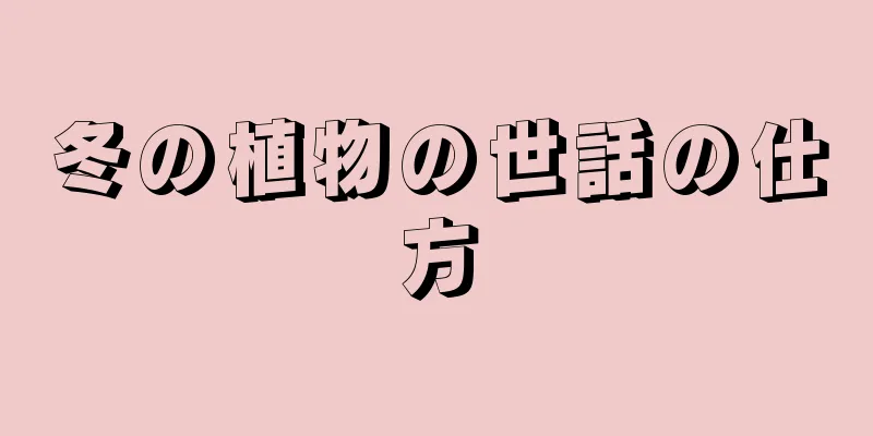 冬の植物の世話の仕方