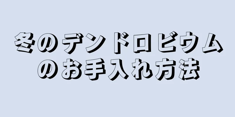 冬のデンドロビウムのお手入れ方法
