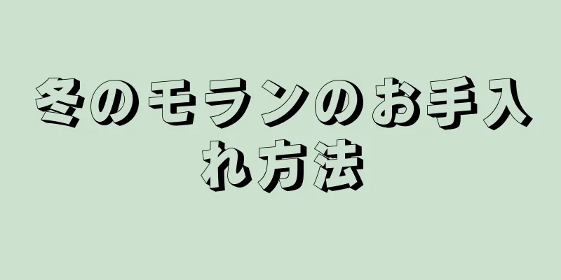 冬のモランのお手入れ方法