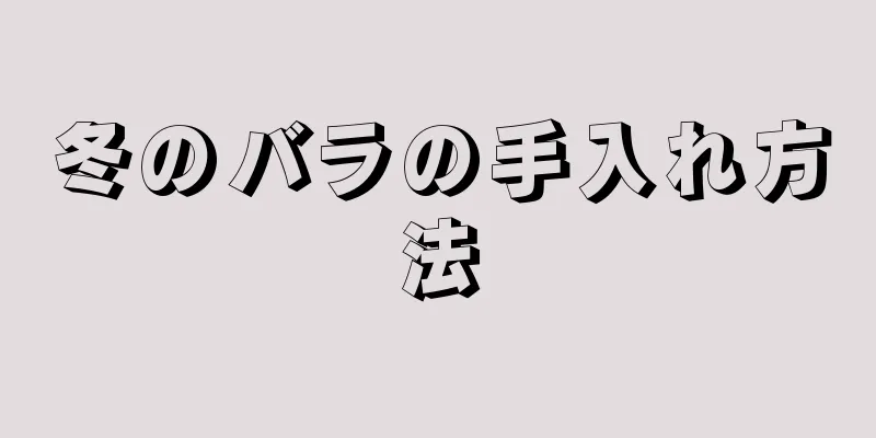 冬のバラの手入れ方法