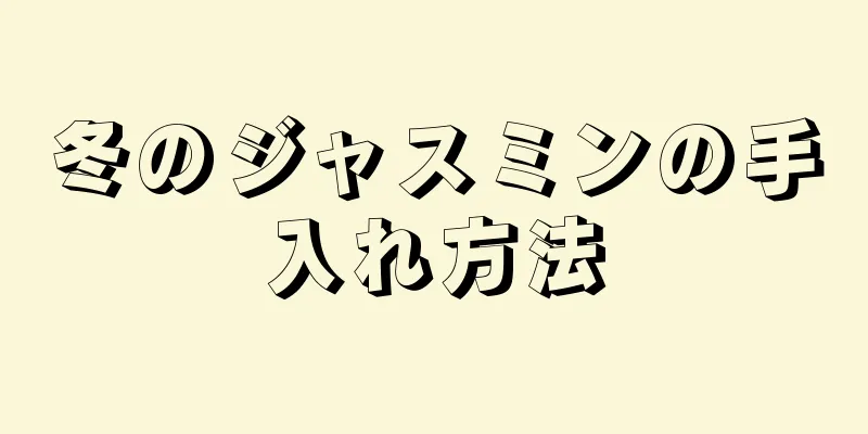 冬のジャスミンの手入れ方法