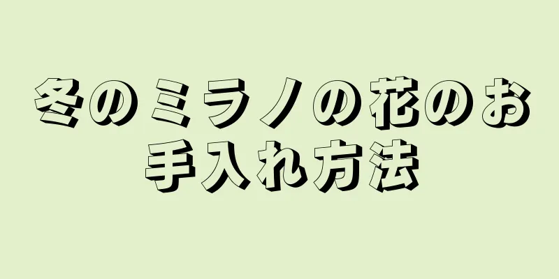 冬のミラノの花のお手入れ方法