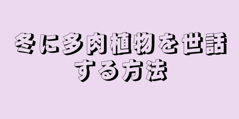 冬に多肉植物を世話する方法