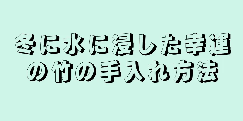 冬に水に浸した幸運の竹の手入れ方法