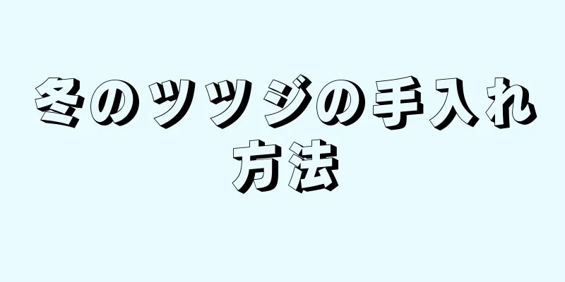 冬のツツジの手入れ方法