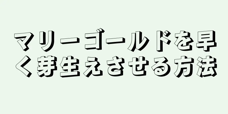 マリーゴールドを早く芽生えさせる方法