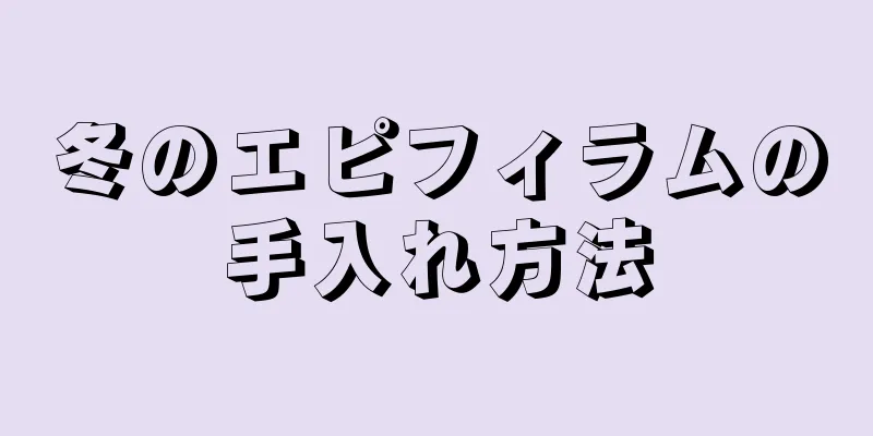 冬のエピフィラムの手入れ方法