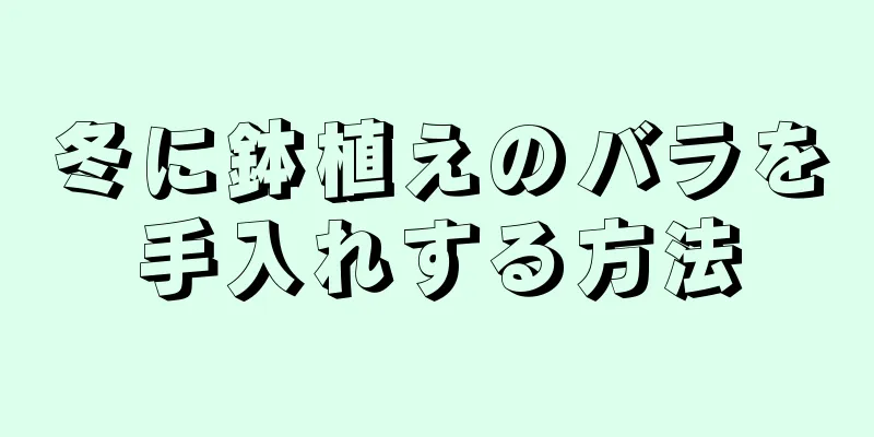 冬に鉢植えのバラを手入れする方法