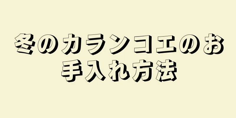 冬のカランコエのお手入れ方法