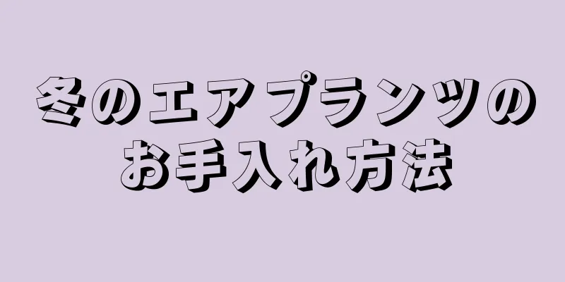 冬のエアプランツのお手入れ方法